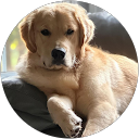 ChrisandSheri Pottie profile picture